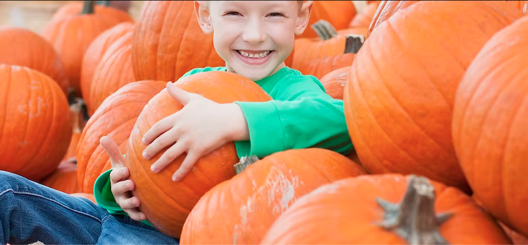 Kid and pumpkins